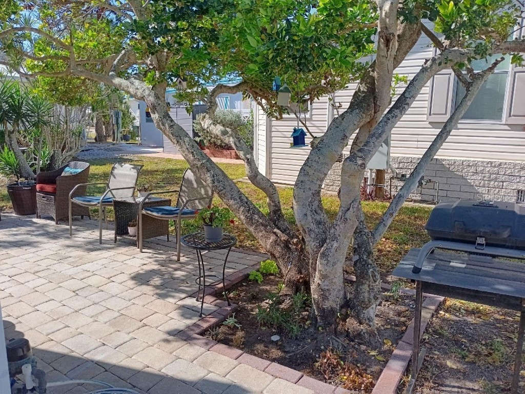 858 S Green Circle Venice FL 34285 N6141271 image37