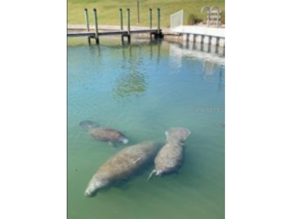 858 S Green Circle Venice FL 34285 N6141271 image45