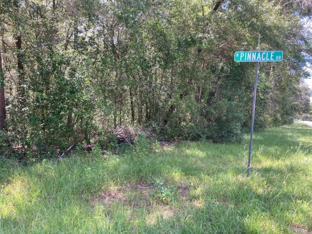 8580 N Golfview Drive Citrus Springs FL 34434 OM664984 image1