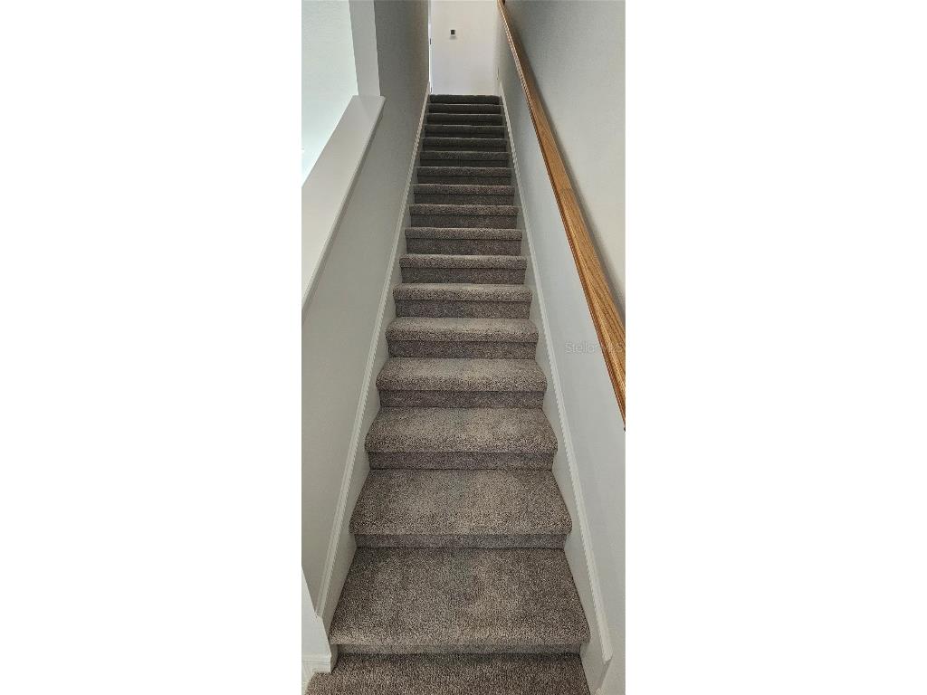 8581 Daybreak Street Sarasota FL 34241 R4909932 image9