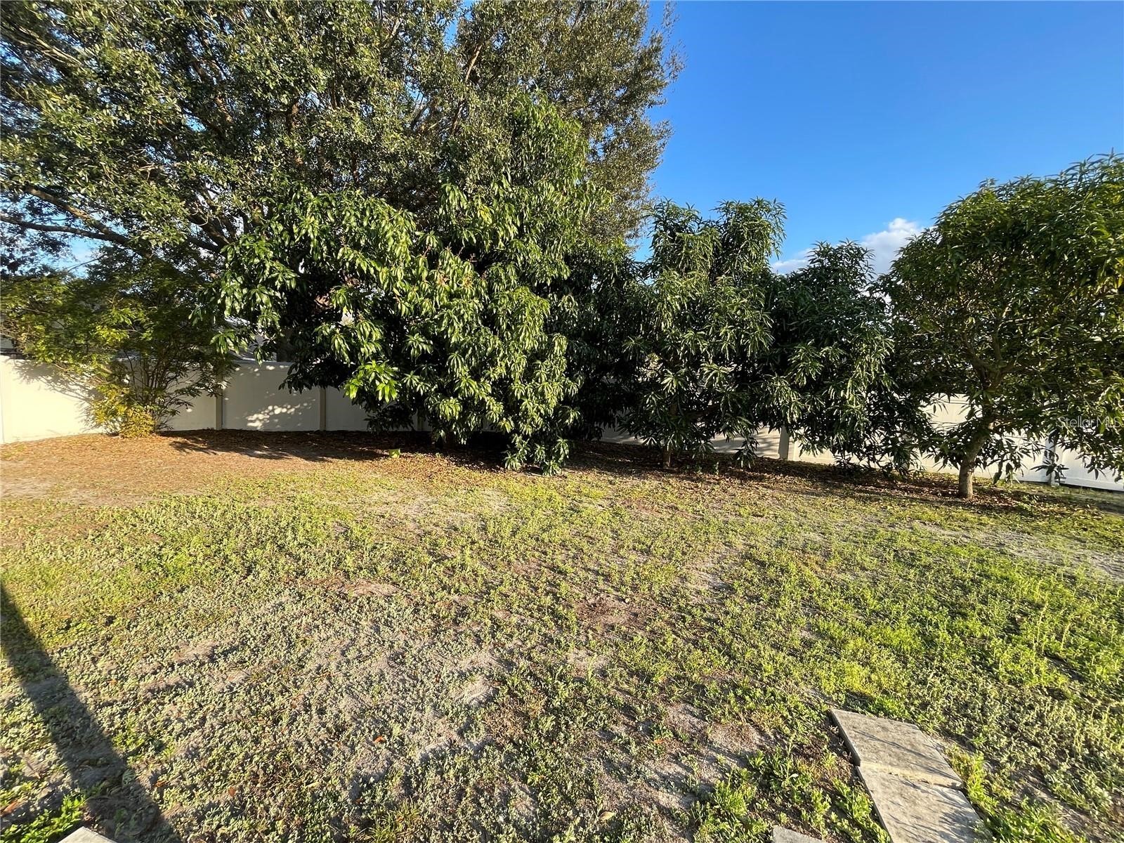 8581 Fort Thomas Way Orlando FL 32822 O6395672 image12
