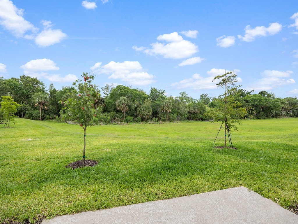 8581 Lunar Skye Street Sarasota FL 34241 A4660971 image22