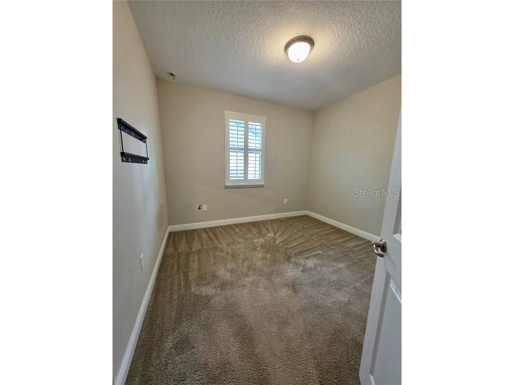 8582 Powder Ridge Trail Windermere FL 34786 S5132123 image17