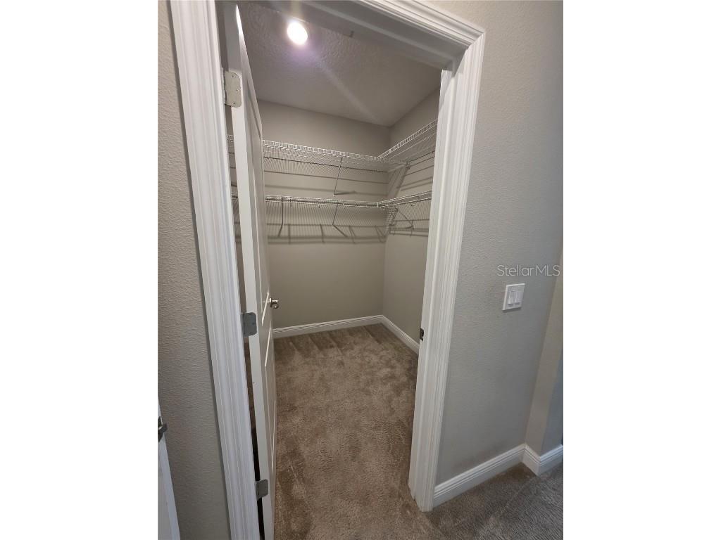 8582 Powder Ridge Trail Windermere FL 34786 S5132123 image22