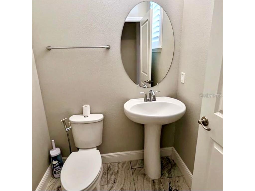 8582 Powder Ridge Trail Windermere FL 34786 S5132123 image29