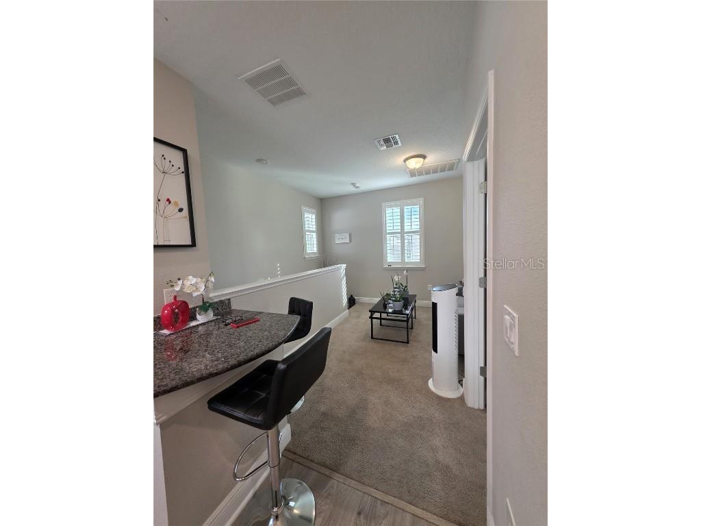 8582 Powder Ridge Trail Windermere FL 34786 S5132123 image41