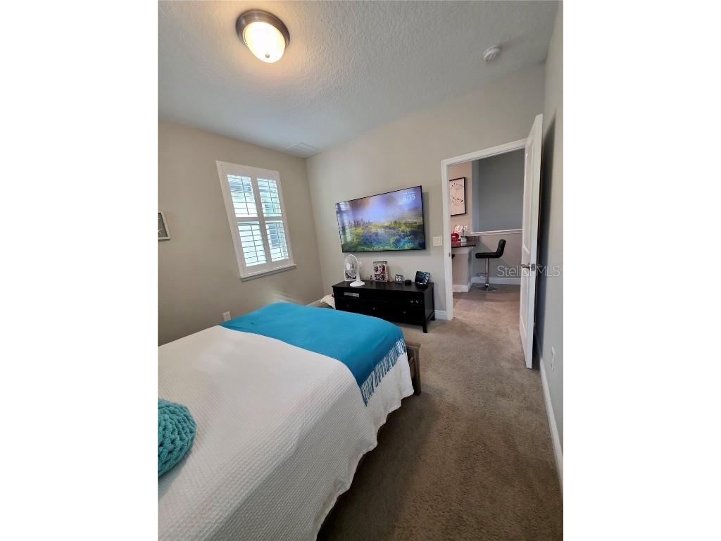 8582 Powder Ridge Trail Windermere FL 34786 S5132123 image43