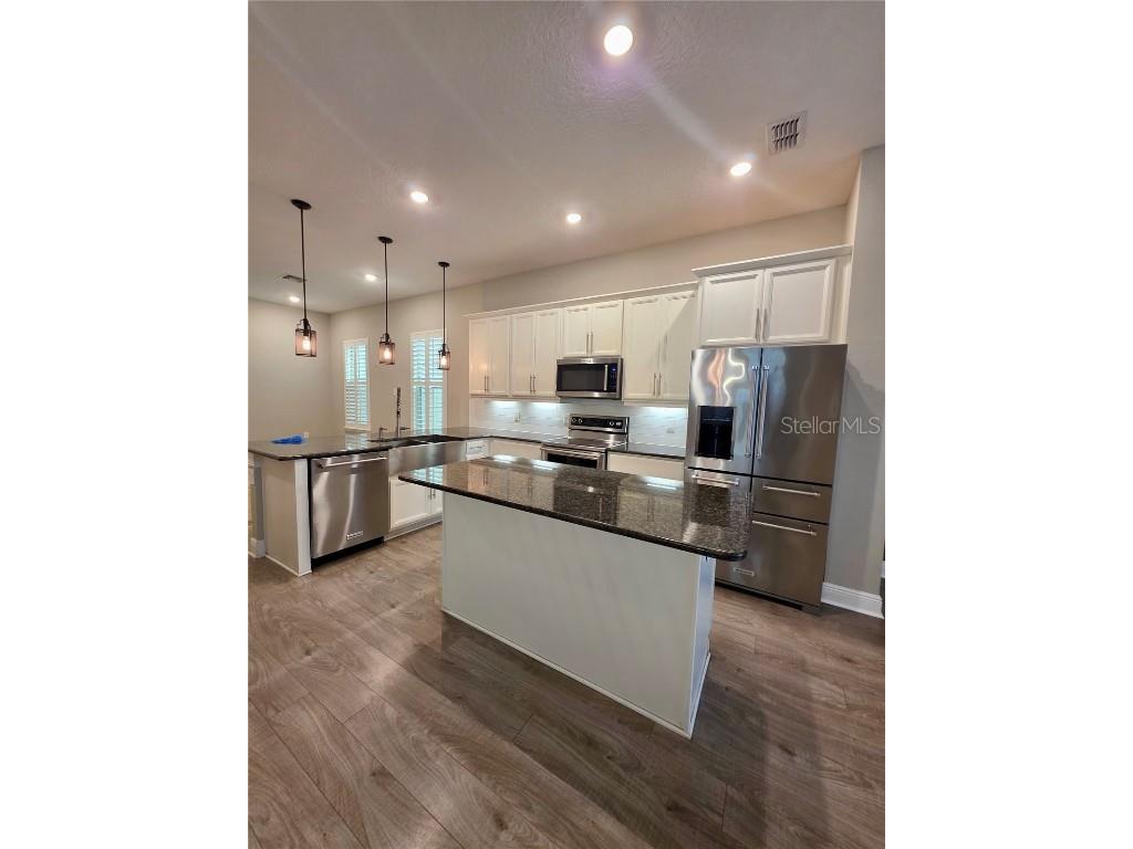 8582 Powder Ridge Trail Windermere FL 34786 S5132123 image8