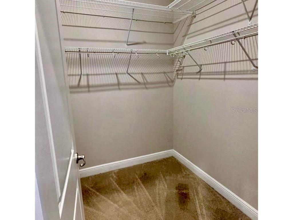 8582 Powder Ridge Trail Windermere FL 34786 S5140023 image28