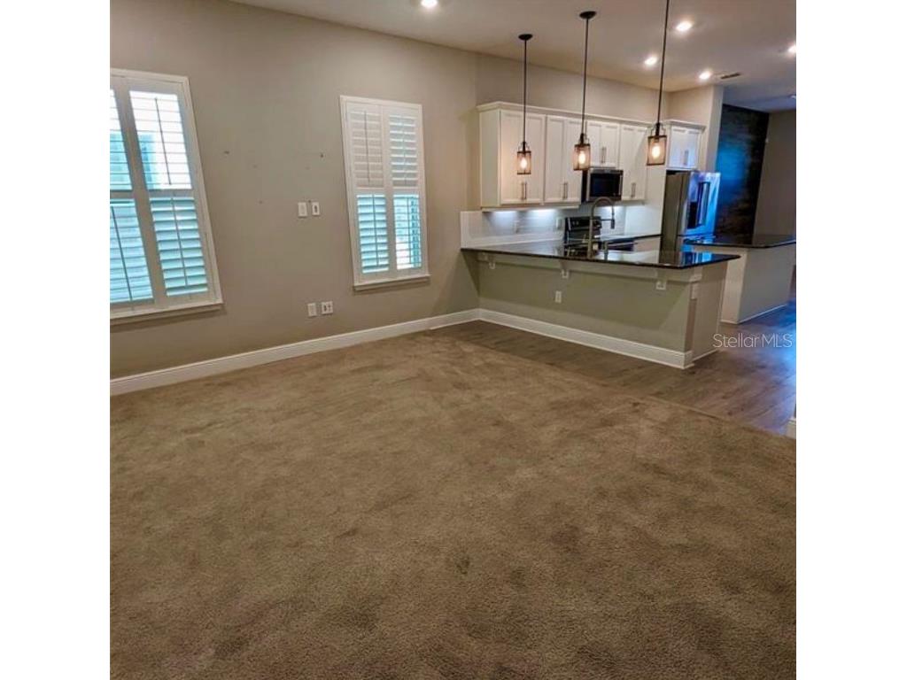 8582 Powder Ridge Trail Windermere FL 34786 S5140023 image8