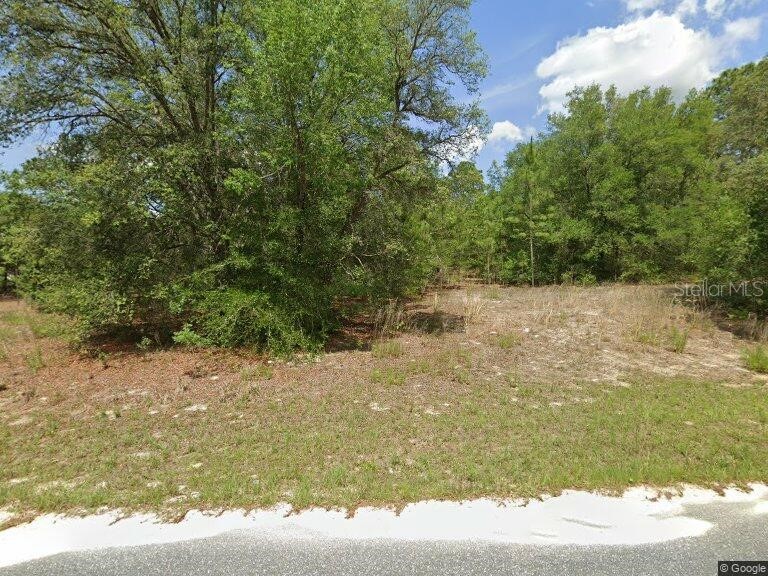 8583 N Bolder Drive Citrus Springs FL 34434 OM692780 image1