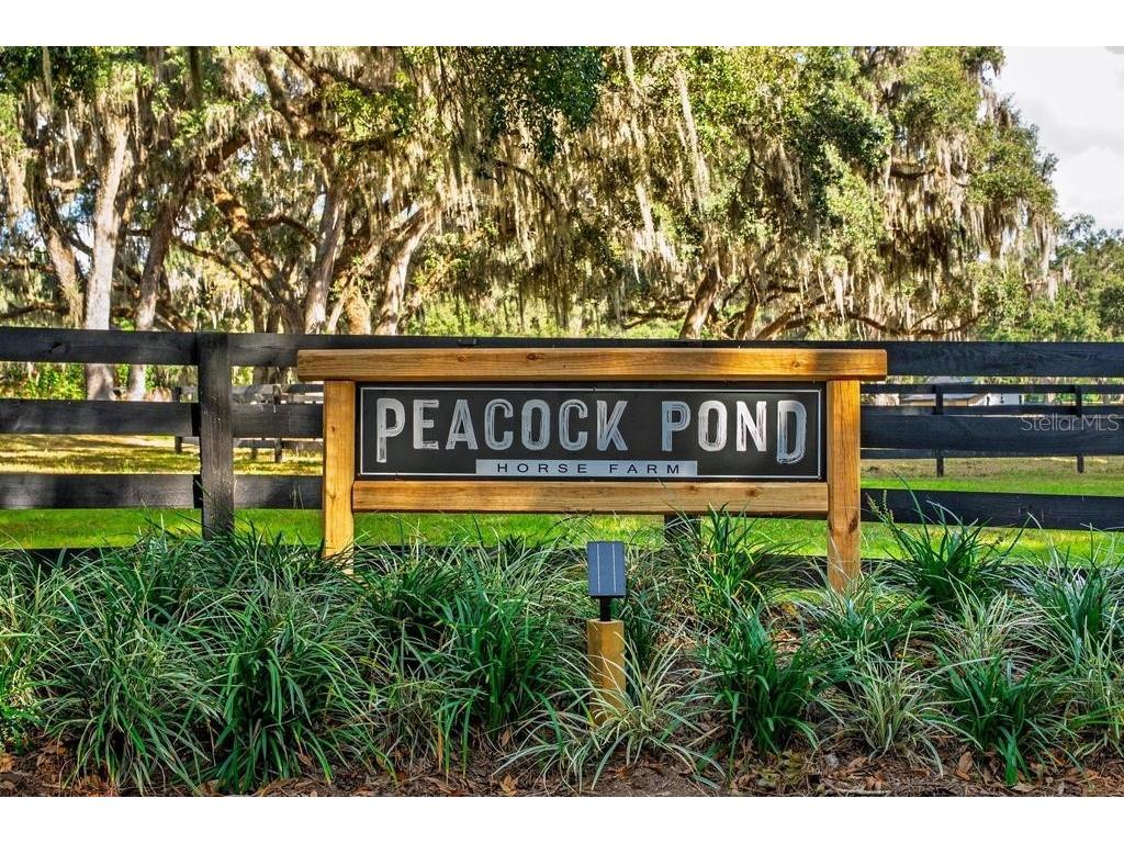 8695 NW 130th Street Reddick FL 32686 OM715227 image3
