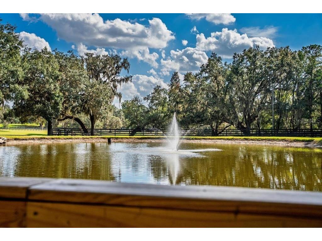 8695 NW 130th Street Reddick FL 32686 OM715227 image83