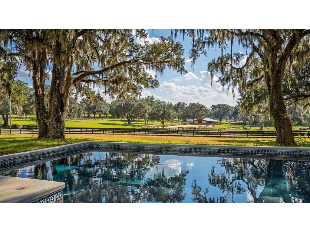 8695 NW 130th Street Reddick FL 32686 OM715227 image88