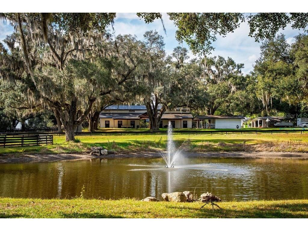 8695 NW 130th Street Reddick FL 32686 OM715227 image92