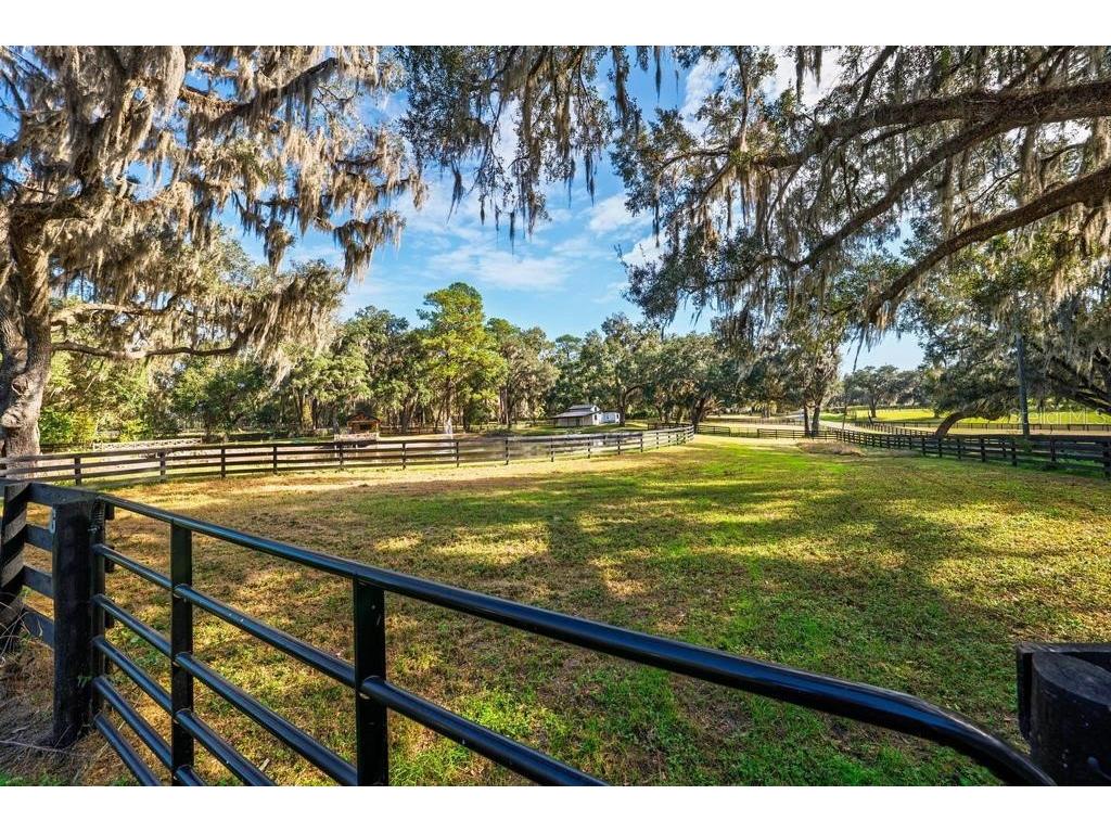 8695 NW 130th Street Reddick FL 32686 OM715227 image93