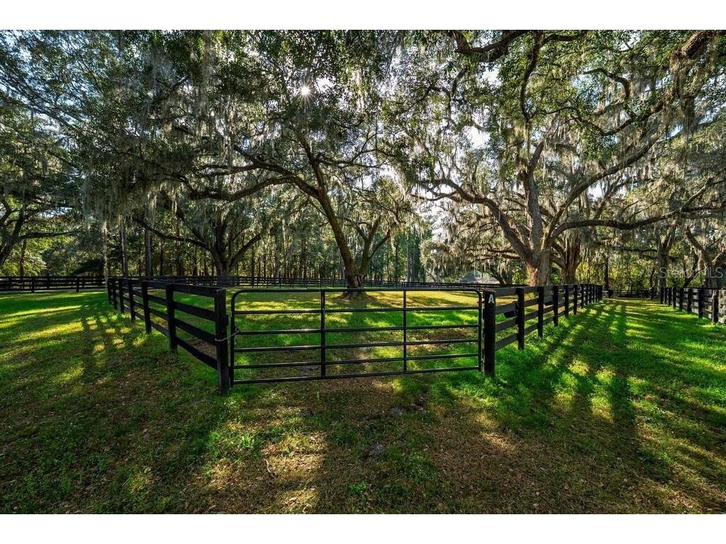 8695 NW 130th Street Reddick FL 32686 OM715227 image95