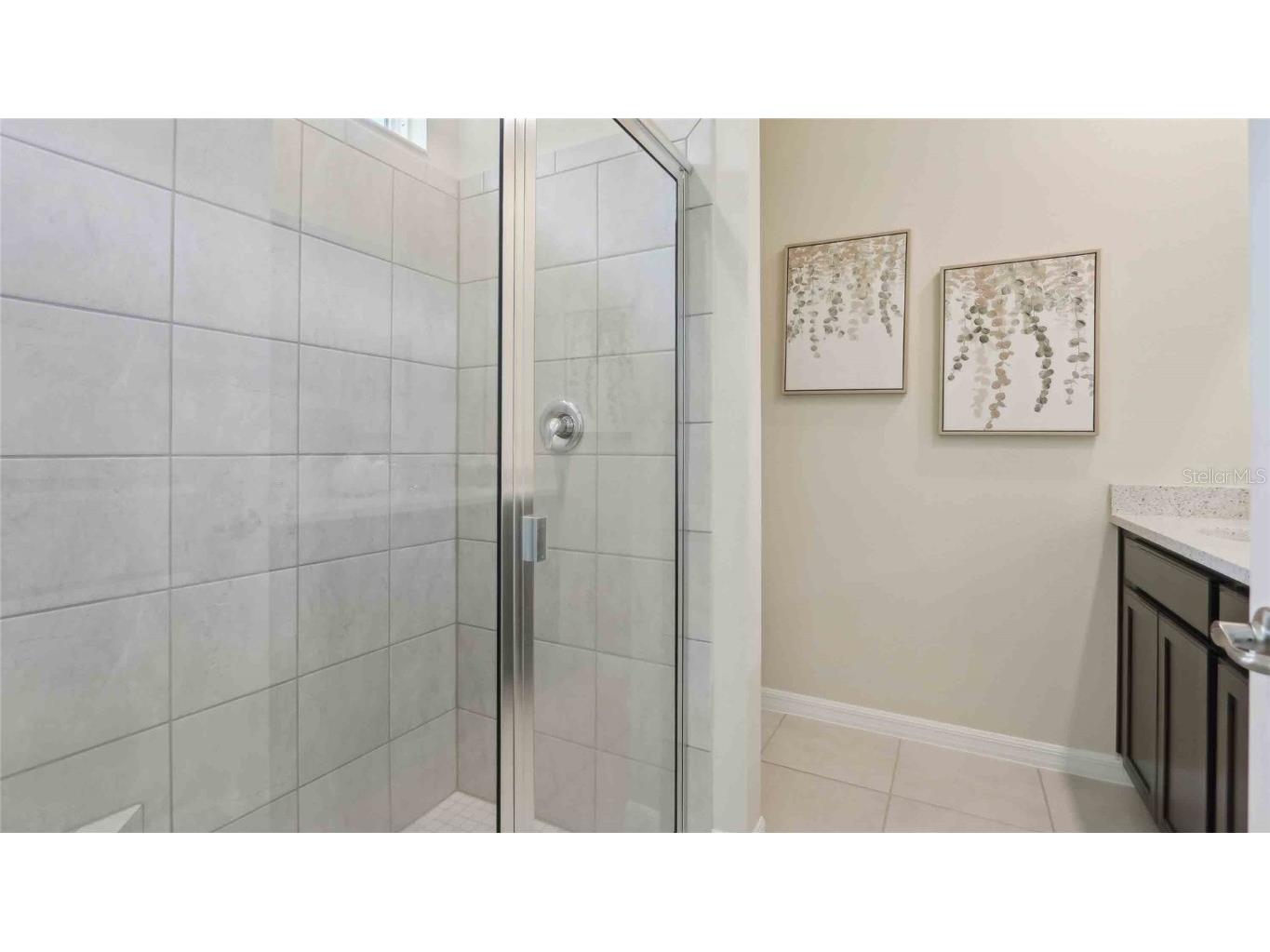 8585 Pinecrest Trail Wildwood FL 34785 OM707139 image17