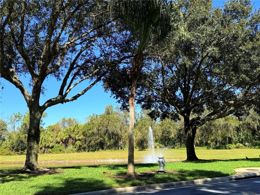 8587 Sunrise Key Drive Kissimmee FL 34747 O6361527 image47