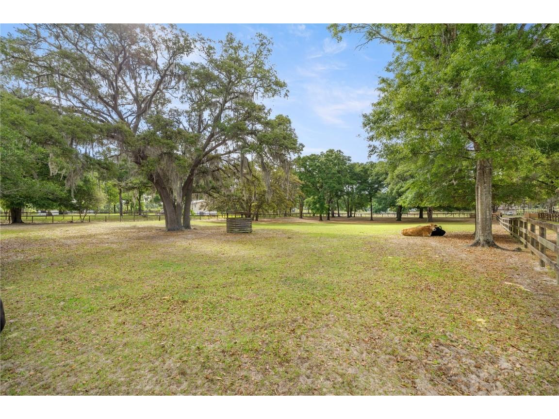 8587 SW 34th Place Ocala FL 34481 OM714464 image11