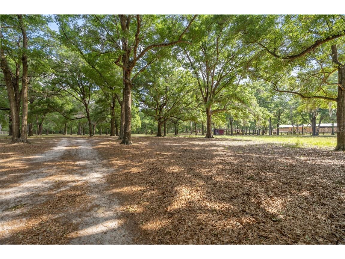 8587 SW 34th Place Ocala FL 34481 OM714464 image14