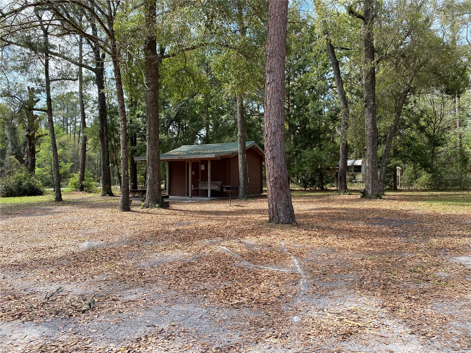 8587 SW Elim Church Road Fort White FL 32038 - ICHETUCKNEE SPRINGS & RIVER V4947987 image13