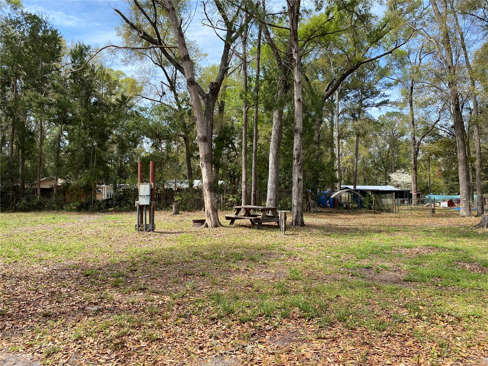 8587 SW Elim Church Road Fort White FL 32038 - ICHETUCKNEE SPRINGS & RIVER V4947987 image8