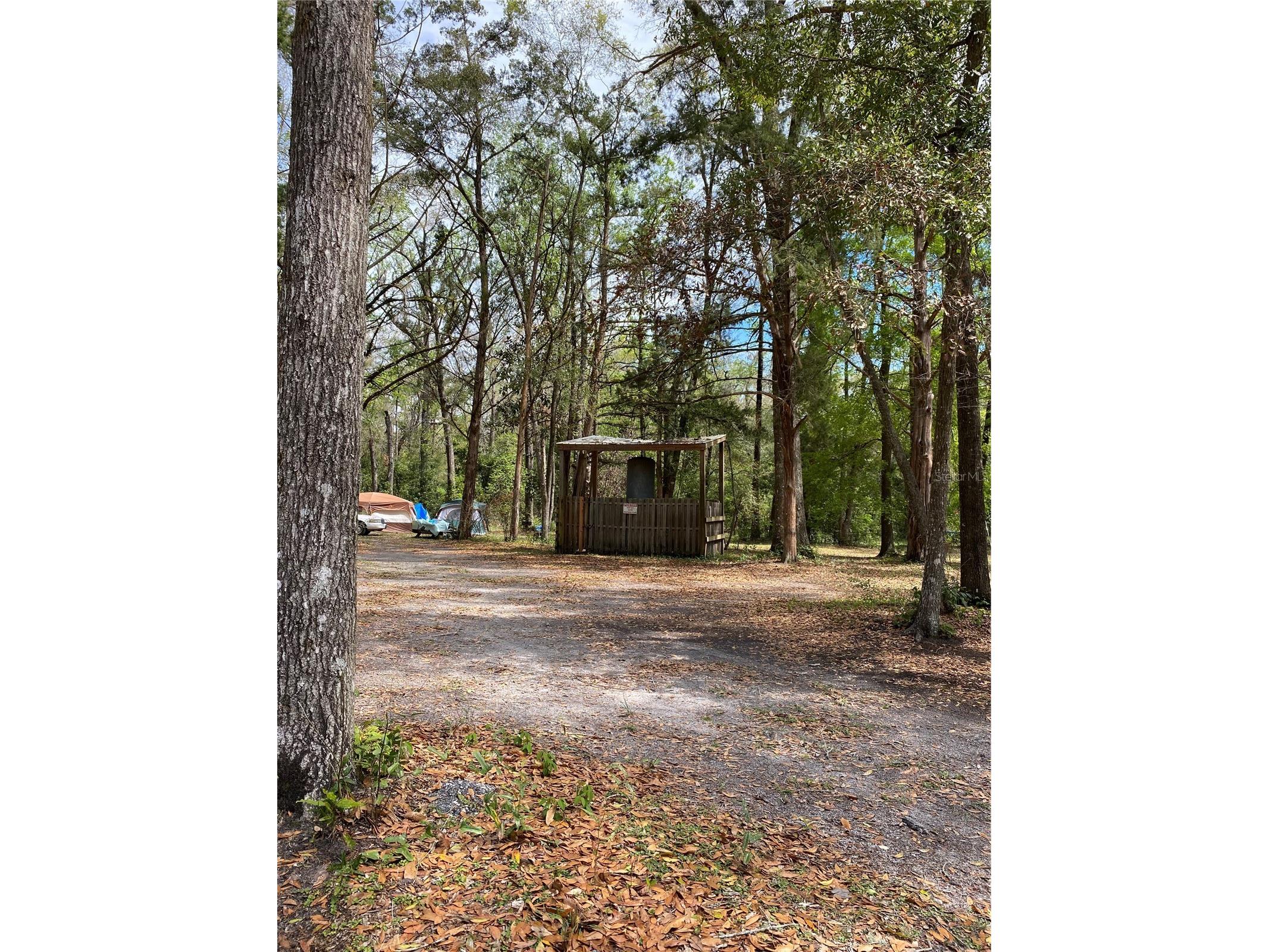 8587 SW Elim Church Road Fort White FL 32038 - ICHETUCKNEE SPRINGS & RIVER V4947987 image9