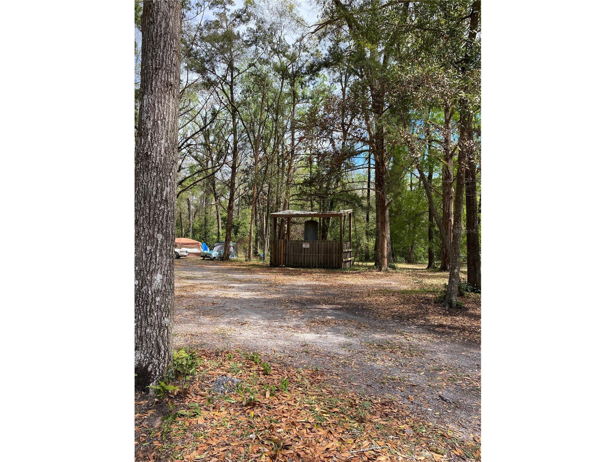 8587 SW Elim Church Road Fort White FL 32038 - ICHETUCKNEE SPRINGS & RIVER V4947990 image11