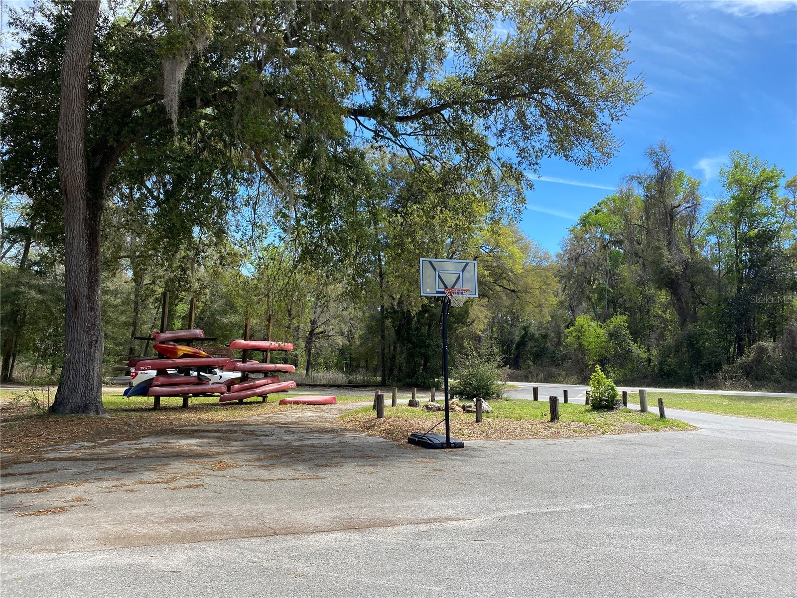 8587 SW Elim Church Road Fort White FL 32038 - ICHETUCKNEE SPRINGS & RIVER V4947990 image16
