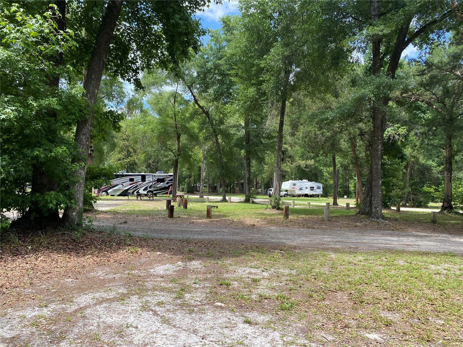 8587 SW Elim Church Road Fort White FL 32038 - ICHETUCKNEE SPRINGS & RIVER V4947990 image19