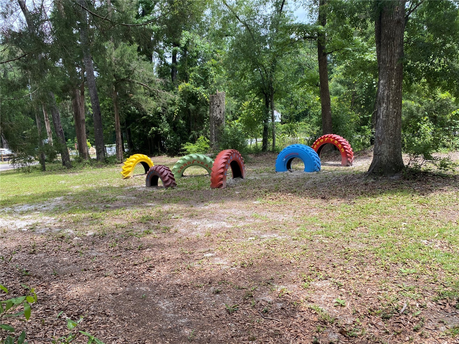 8587 SW Elim Church Road Fort White FL 32038 - ICHETUCKNEE SPRINGS & RIVER V4947990 image20