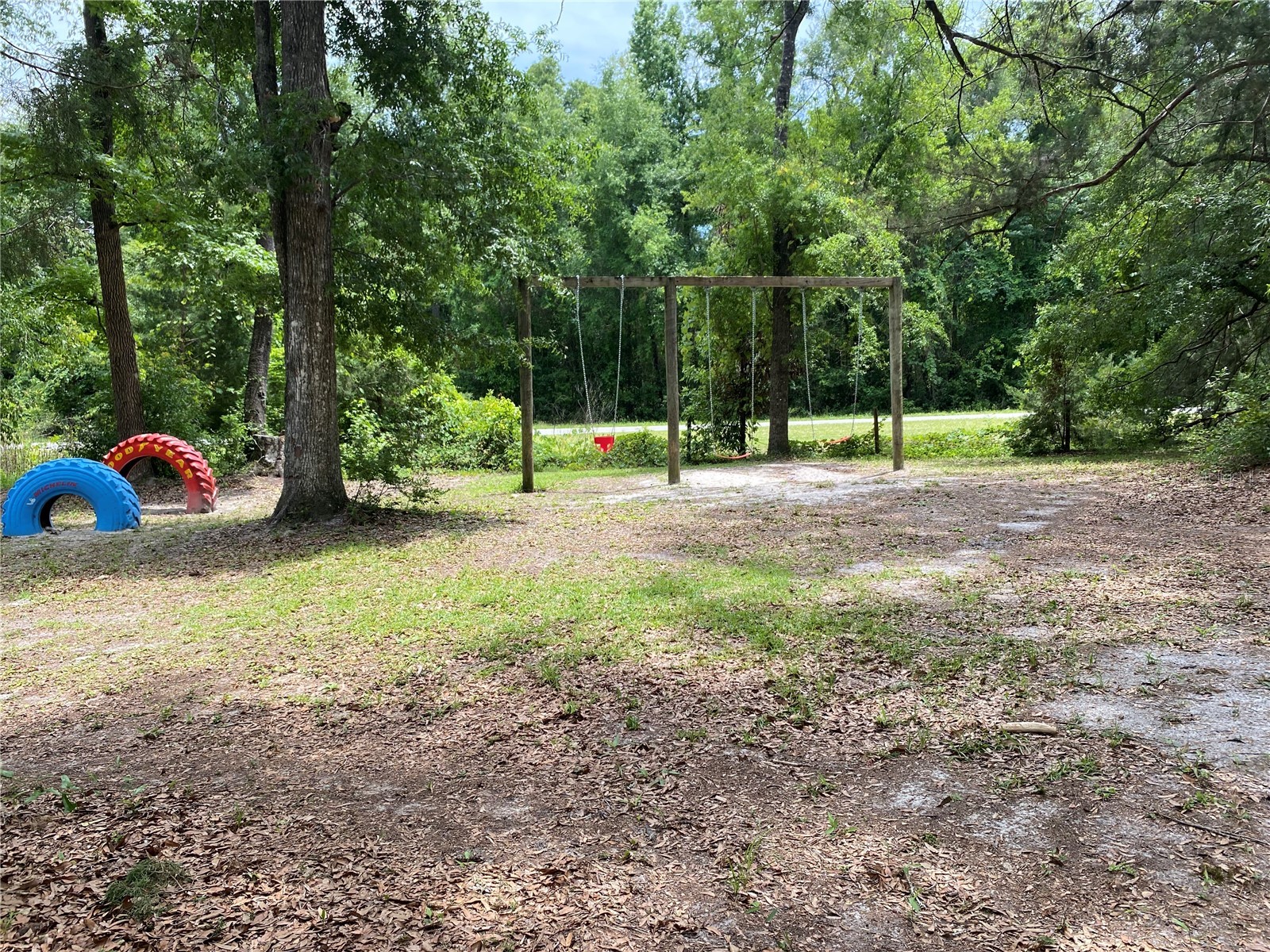 8587 SW Elim Church Road Fort White FL 32038 - ICHETUCKNEE SPRINGS & RIVER V4947990 image21