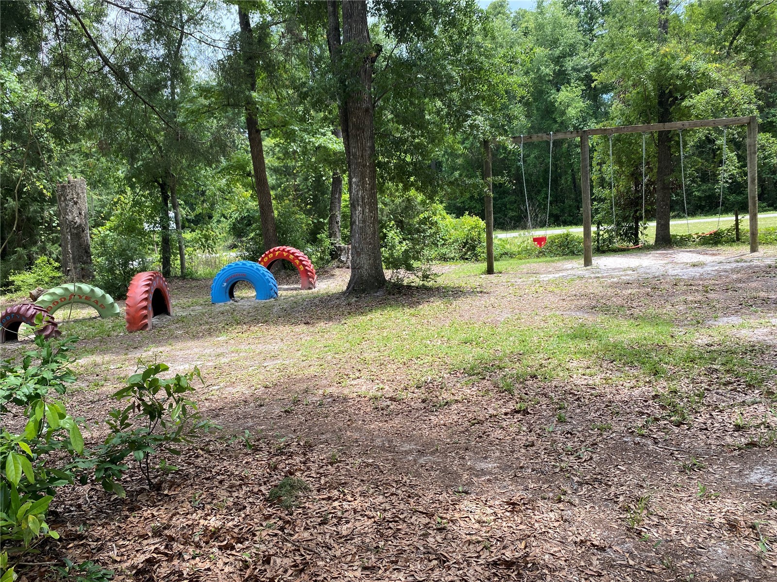 8587 SW Elim Church Road Fort White FL 32038 - ICHETUCKNEE SPRINGS & RIVER V4947990 image22