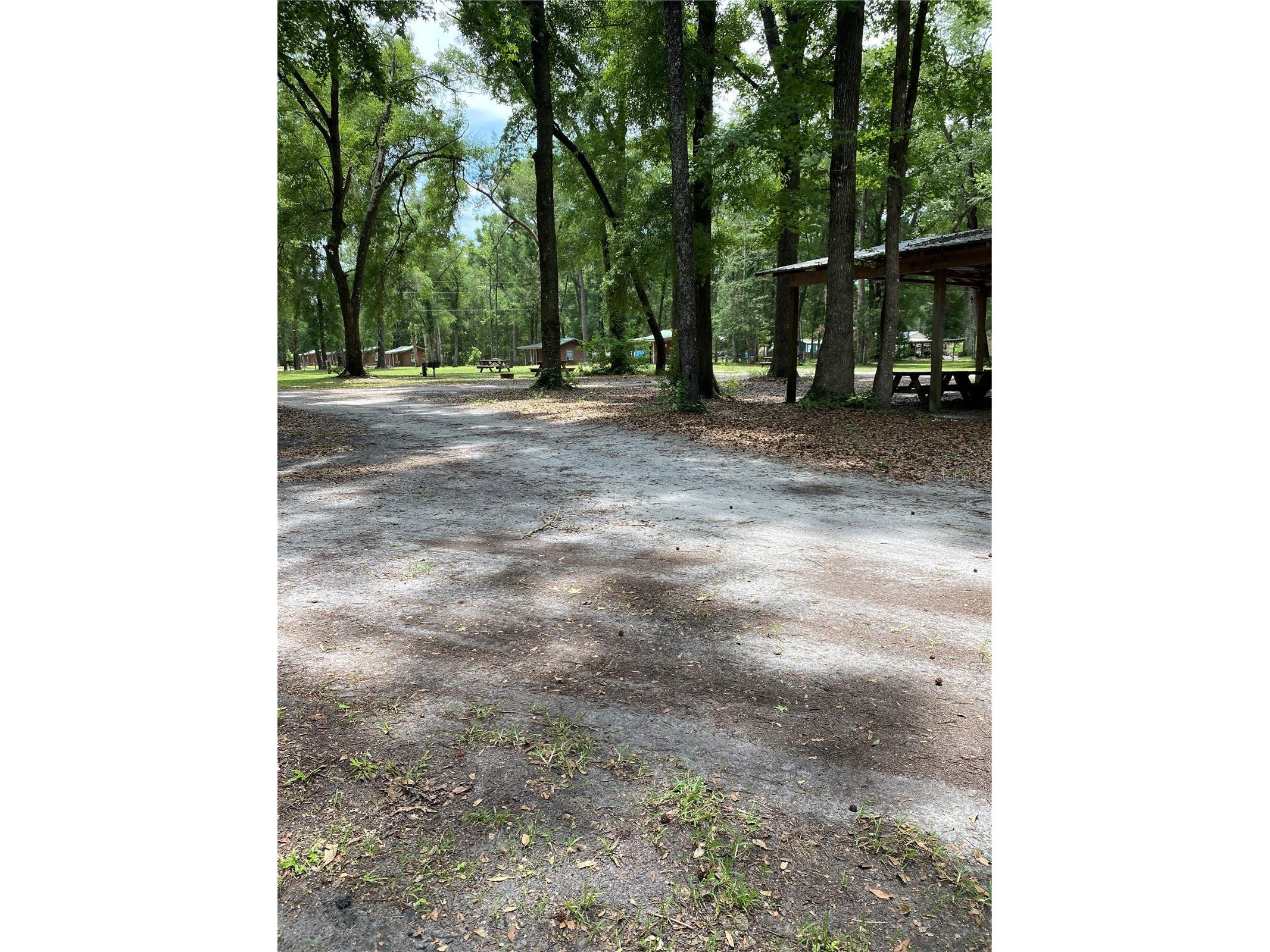 8587 SW Elim Church Road Fort White FL 32038 - ICHETUCKNEE SPRINGS & RIVER V4947990 image41