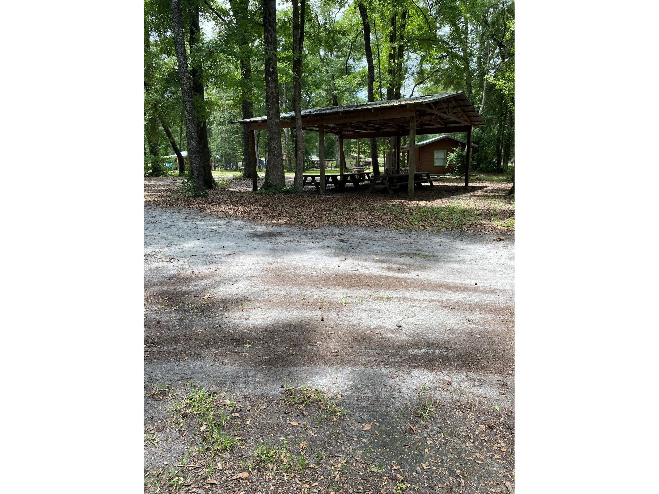 8587 SW Elim Church Road Fort White FL 32038 - ICHETUCKNEE SPRINGS & RIVER V4947990 image44