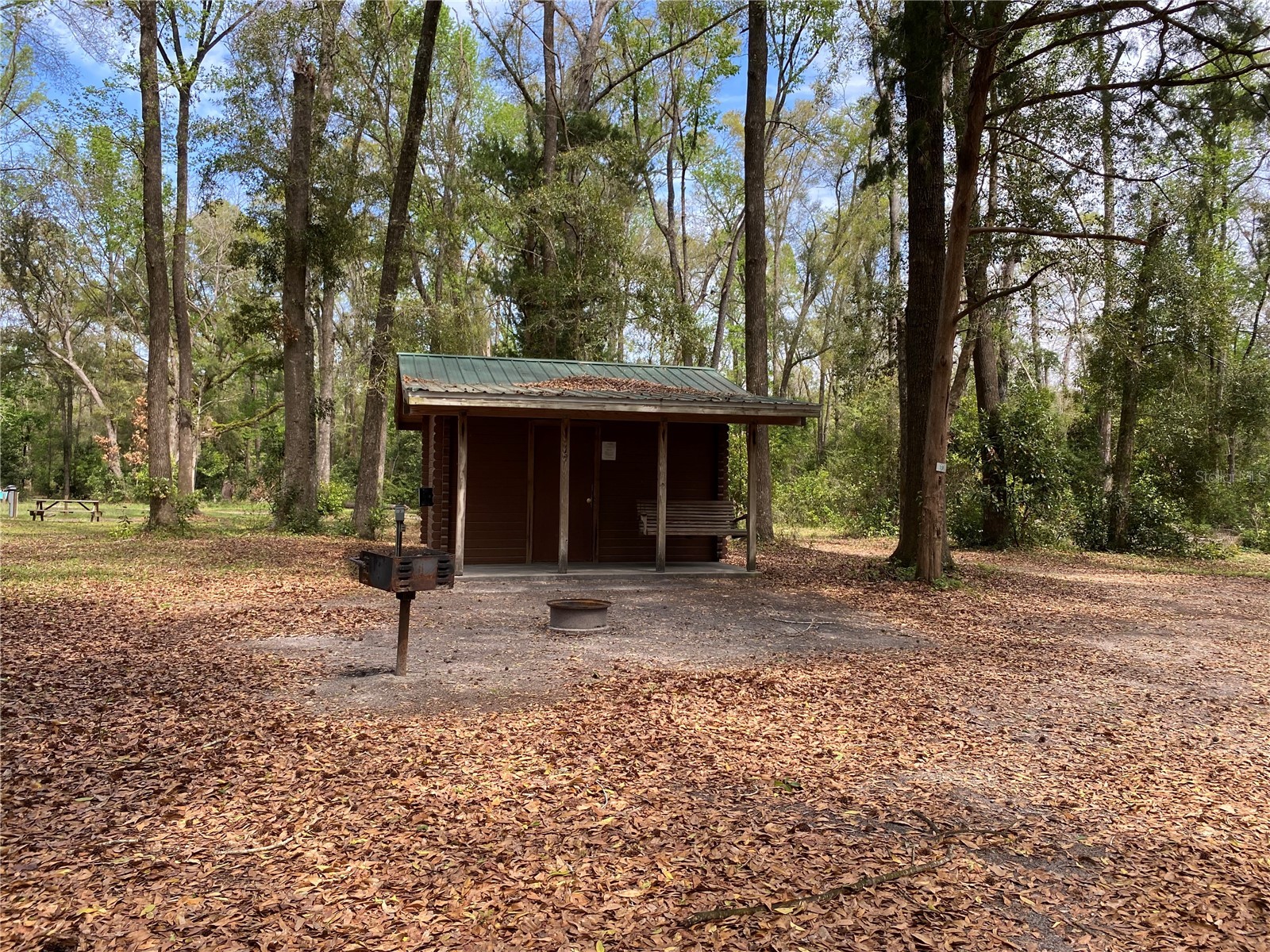 8587 SW Elim Church Road Fort White FL 32038 - ICHETUCKNEE SPRINGS & RIVER V4947990 image9