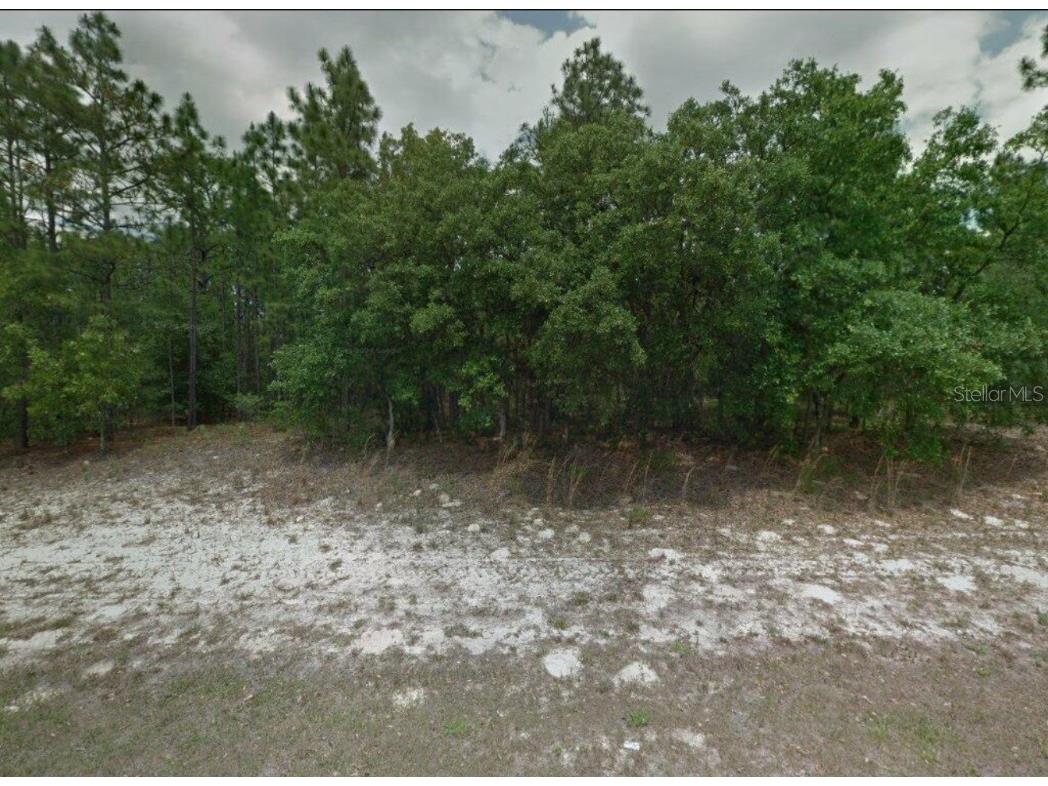 8589 N Deltona Boulevard Citrus Springs FL 34434 J984005 image1