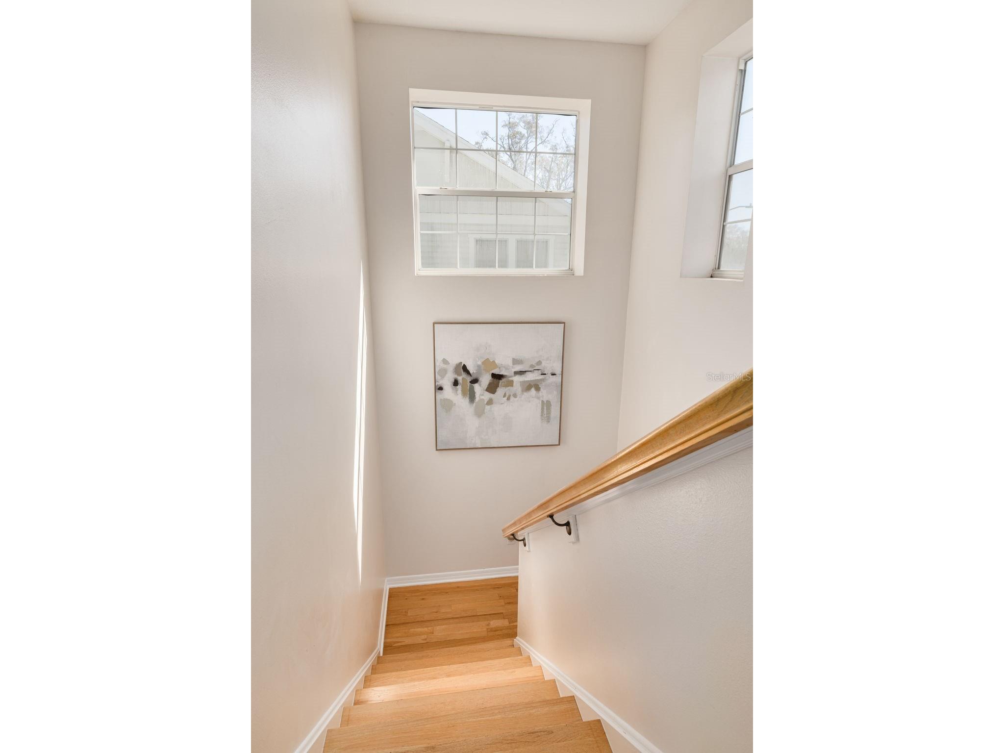 859 23rd Avenue N Saint Petersburg FL 33704 TB8440330 image26