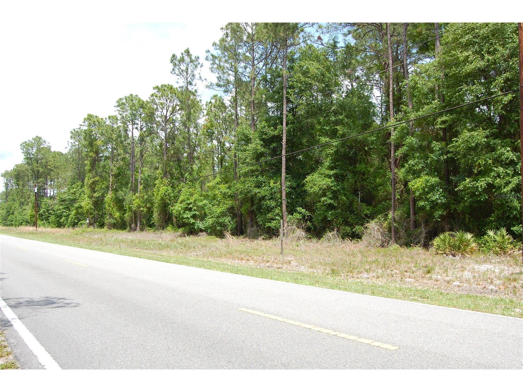 859 W River Road Palatka FL 32177 NS1088104 image1