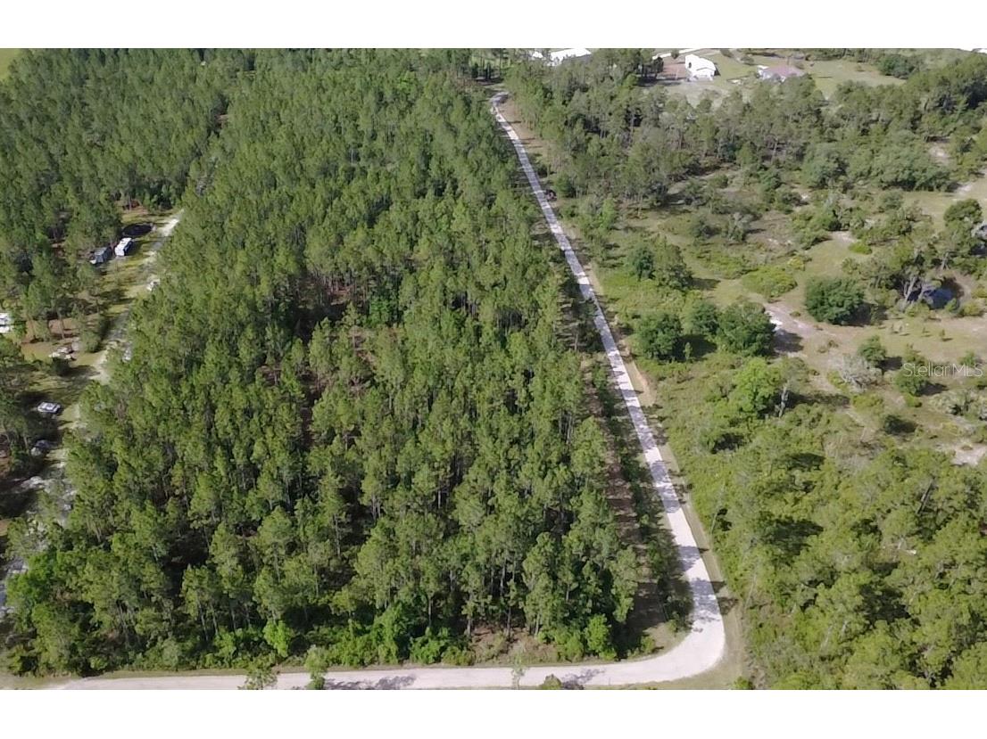 859 Wild Cur Road Pierson FL 32180 TB8510698 image11