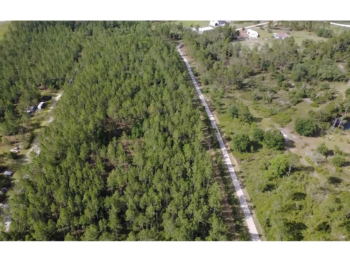 859 Wild Cur Road Pierson FL 32180 TB8510698 image12