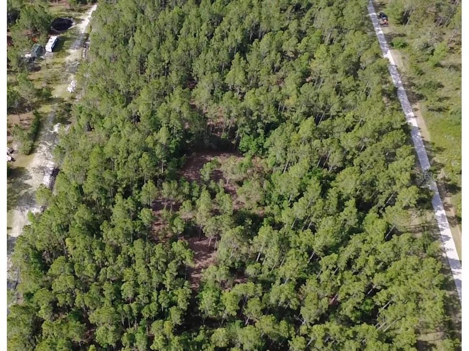 859 Wild Cur Road Pierson FL 32180 TB8510698 image13