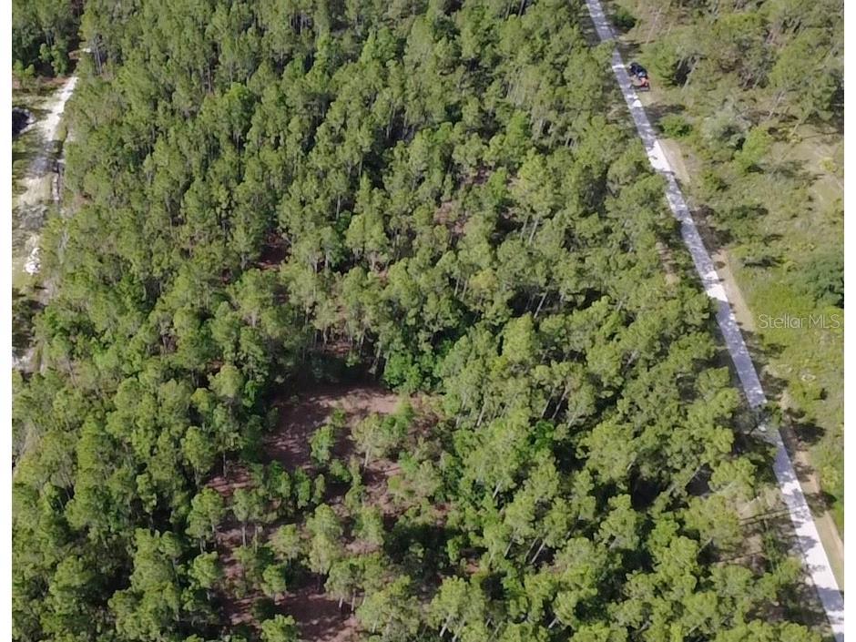 859 Wild Cur Road Pierson FL 32180 TB8510698 image14
