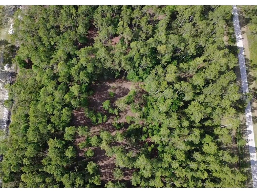 859 Wild Cur Road Pierson FL 32180 TB8510698 image15