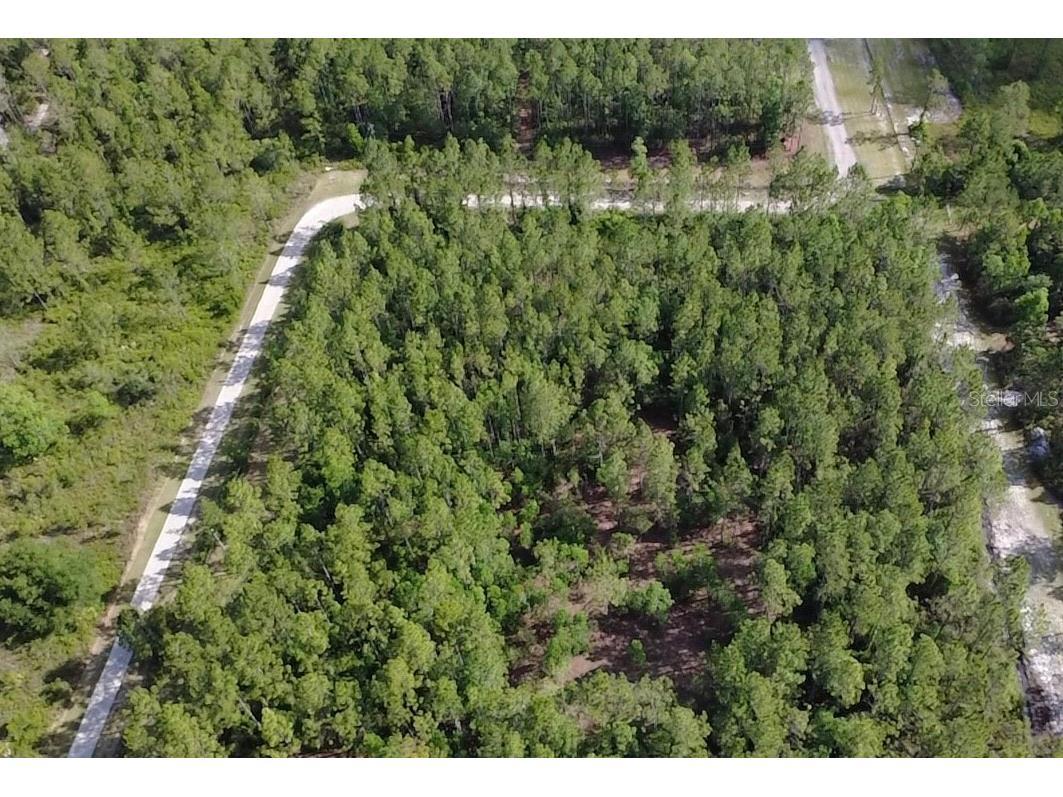859 Wild Cur Road Pierson FL 32180 TB8510698 image16