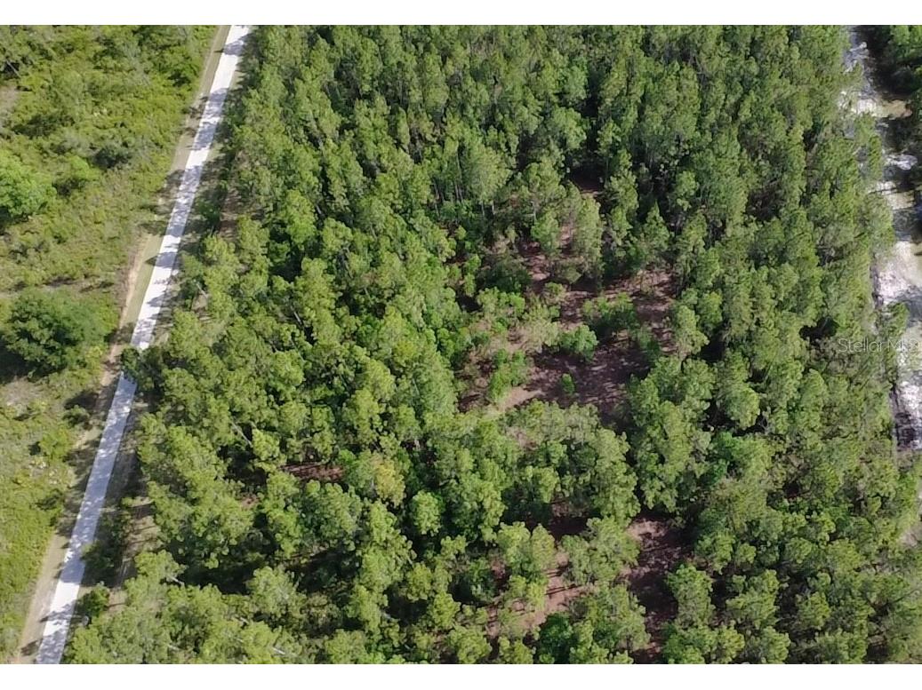 859 Wild Cur Road Pierson FL 32180 TB8510698 image18