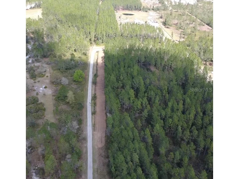 859 Wild Cur Road Pierson FL 32180 TB8510698 image19