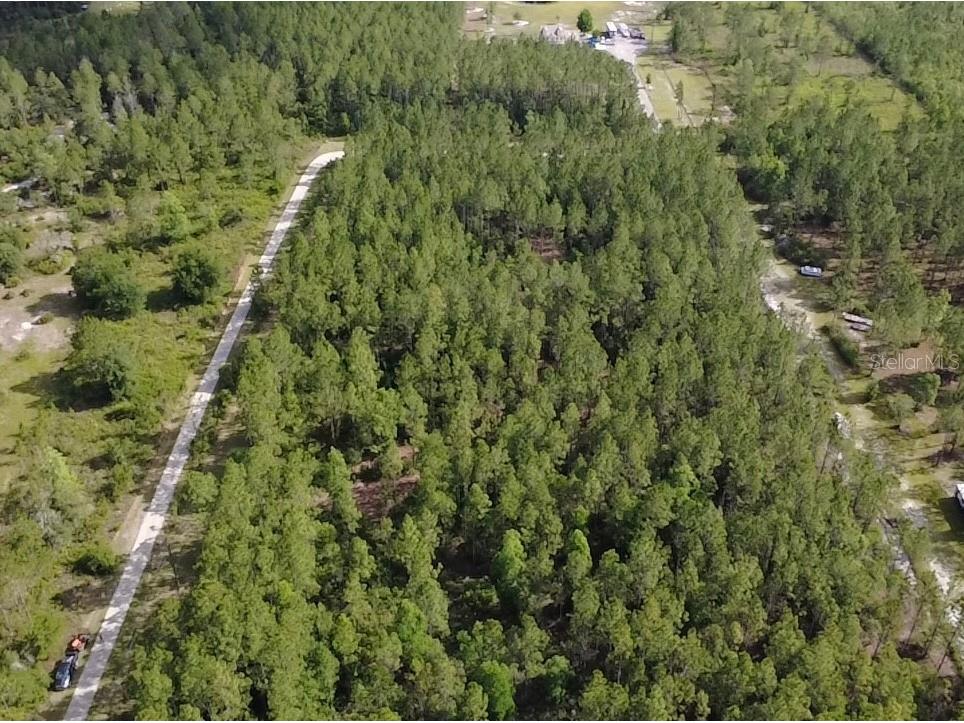 859 Wild Cur Road Pierson FL 32180 TB8510698 image2
