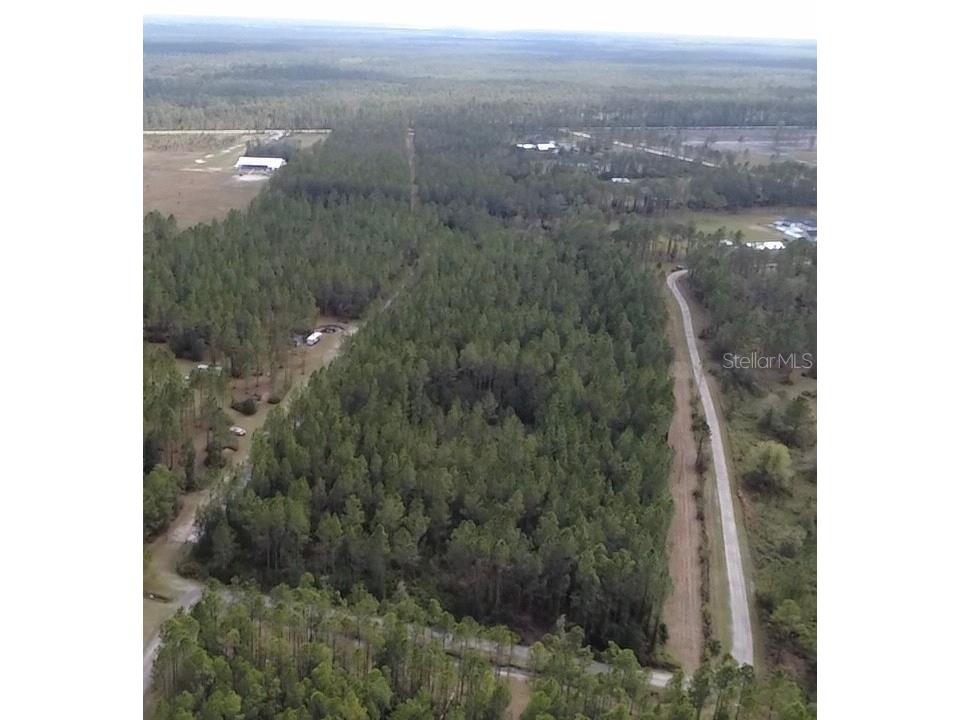 859 Wild Cur Road Pierson FL 32180 TB8510698 image20